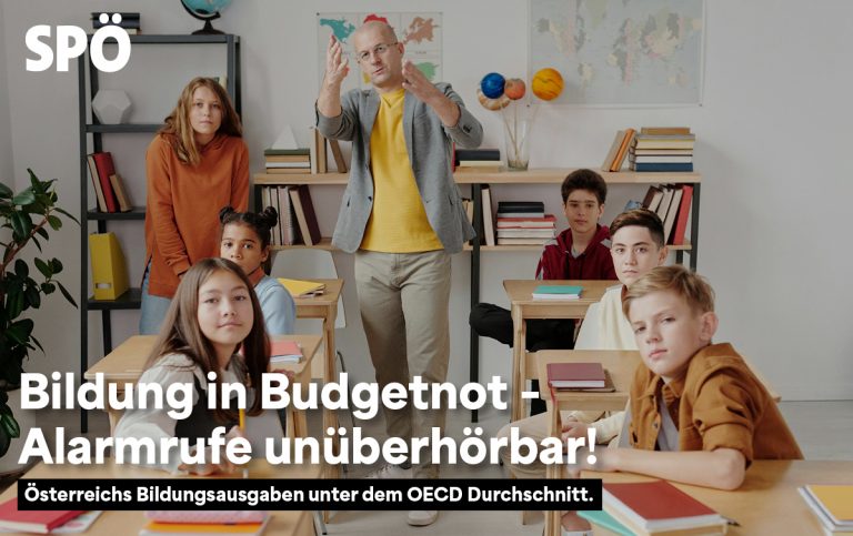 bildungsausgaben bildungsbudget petra tanzler spö