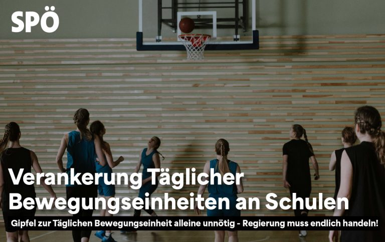 Tägliche Bewegungseinheit Schule Turnen Sport Tanzler SPÖ