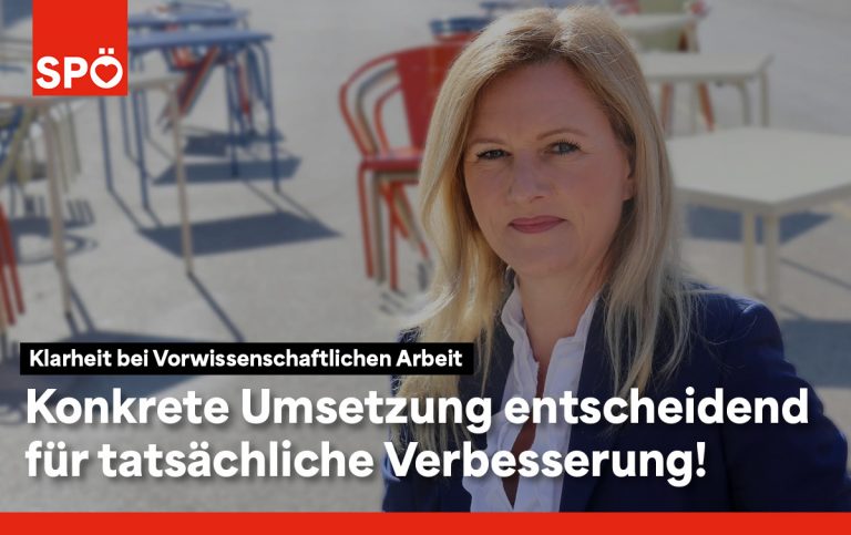 VWA Vorwissenschaftliche Arbeit Bildung Matura Schule Tanzler SPÖ